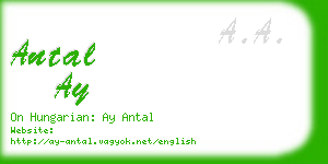 antal ay business card